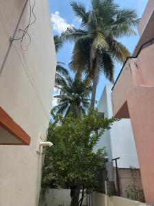 Fotografie z fotogalerie ubytování Golden Service Apartment v destinaci Tiruččiráppalli