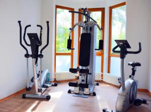 a gym with three tread machines in a room at Haus Hainstein in Eisenach