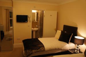 TV a/nebo společenská místnost v ubytování Sapphire Hotel London