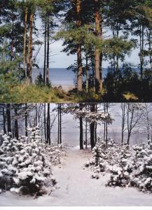 Fotografie z fotogalerie ubytování Privātviesnīca Zvaigzne v destinaci Jūrmala