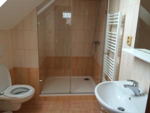 W łazience znajduje się prysznic, toaleta i umywalka. w obiekcie Penzion Rakovec w mieście Bukovinka
