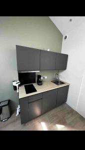 a kitchen with a sink and a counter top at O métro gratte-ciel in Villeurbanne