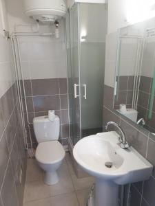 a bathroom with a toilet and a sink at O métro gratte-ciel in Villeurbanne