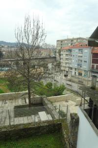 a tree sitting on the side of a building at El refugio de las Burgas in Ourense