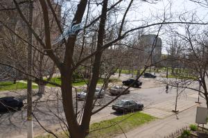 a kite is stuck in a tree in a parking lot at Apartment on Ingenernaya 17 in Mykolaiv