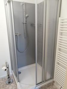 a shower with a glass door in a bathroom at Gasthaus Pension Bretthäusl in Glashütte +35 photos