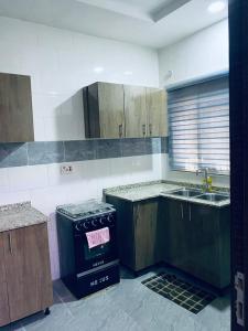 Kuchyň nebo kuchyňský kout v ubytování OFAS Apartment + 5 fotografií