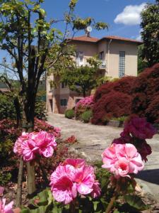 Zahrada ubytování HolidayHome Casa Lilli 2 Luino - Eli apartment with lake view
