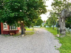 Aed väljaspool majutusasutust Musteriet i Djursdala