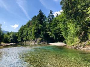 a river with green trees on the side of it at Glamping Savinja in Ljubno +145 photos