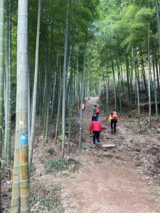入住Moganshan Jingshe -莫干山净舍民宿的客人