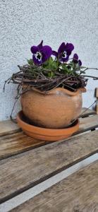 Φωτογραφία από το άλμπουμ του Biały Bór Rooms σε Grudziądz