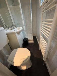 a small bathroom with a toilet and a sink at Fijn Boschalet Midden op de Veluwe, 2 fietsen in Hoenderloo