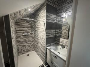 ein Badezimmer mit Dusche und Waschbecken in der Unterkunft Studio cosy gare de St-Pierre-Des-Corps in Saint-Pierre-des-Corps