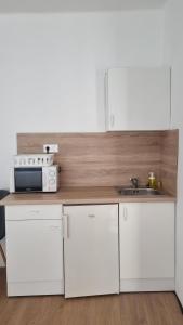 Kuchyňa alebo kuchynka v ubytovaní Hungaria Apartments