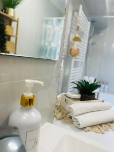 Koupelna v ubytování Labela Luhačovice Apartment