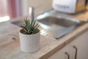 Fotografija v galeriji nastanitve Gästehaus Heimelig v mestu Herbolzheim + 105 fotografij