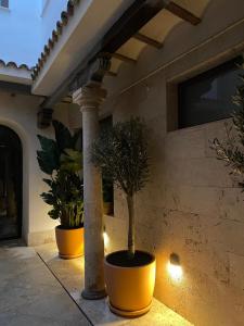 Φωτογραφία από το άλμπουμ του VELALMA-CERON Edificio exclusivo de apartamentos turisticos en Centro histórico σε Jaén