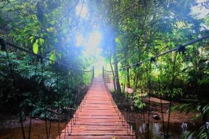 a wooden bridge in the middle of a forest at Pahiyan Huts by Luxuryexperience. in Bulatsinhala +11 photos