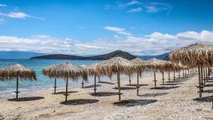 a group of straw umbrellas on a beach at Villa Plaka 16 - 'The Cave' - Drepano, Nafplio in Drepana