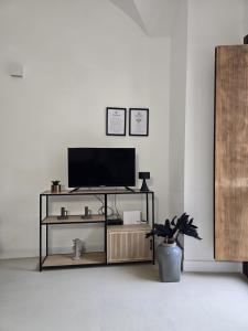 a television on a stand in a white room with a plant at LakeView LakeComo, CIPRESSO 2, 4Seasons, Terrace, 30m to Lake! by STAYHERE-LAKECOMO in Acquaseria