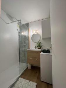 Un baño con ducha, lavabo y espejo. en Studio cosy au porte de l ocean, en Biscarrosse