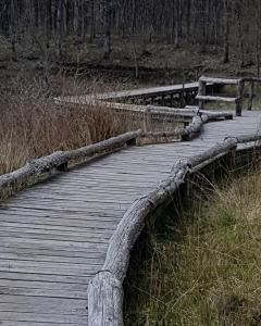 Paesaggio naturale nelle vicinanze del bed & breakfast