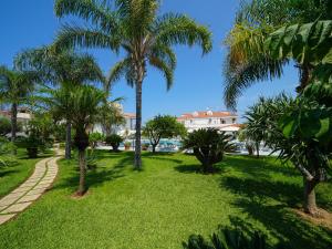 Κήπος έξω από το Hotel Damanse