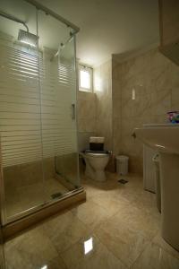 a bathroom with a shower and a toilet and a sink at The house in front of the sea in Kalamaki Heraklion