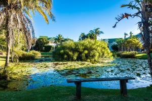 a park bench in front of a pond with lilies at Riverclub Villas in Plettenberg Bay +10 photos