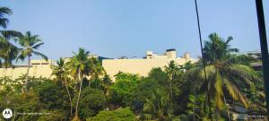 a large building with palm trees in front of it at Sharp Suites in Cochin