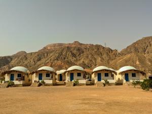 Galeriebild der Unterkunft Aladdin Camp in Nuweiba