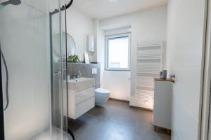 a bathroom with a toilet and a sink and a mirror at Vulkaneifel Cottage in Kottenheim