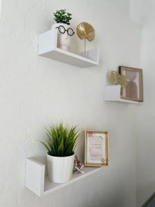 a white shelf with a potted plant on a wall at Parka ielas apartamenti in Alūksne