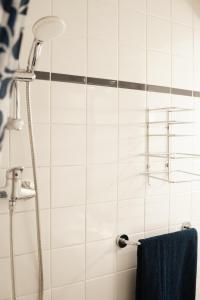 y baño con ducha y toalla azul. en Cosy - 2 people, Vauban, en Lille