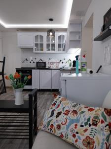 Kuchyň nebo kuchyňský kout v ubytování Rozinka apartman