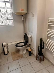 a bathroom with a toilet with the lid up at Les Jardins de Rastel Studio in Lyon +21 photos