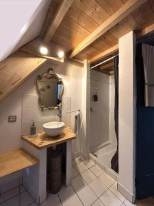 a bathroom with a sink and a shower at Aquarelle in Sainte-Maure-de-Touraine