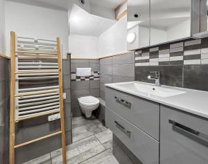 un baño con lavabo e inodoro en La Provence à Colmar, en Colmar 19 fotos más