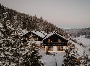 a log cabin in the snow with trees at Mountain Hideway Birgkar in Mühlbach am Hochkönig
