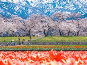 黒部市にある延対寺荘 の花山公園