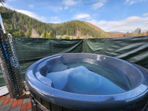 Üldine mäevaade või majutusasutusest Cozy House pildistatud vaade +1 foto