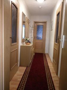 a hallway with a red carpet and a door at Wohnung In Hänichen Mit Garten in Bannewitz