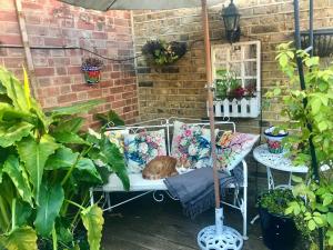 eine Katze, die auf einem Stuhl auf einer Terrasse sitzt in der Unterkunft Cluaine Meala cottage in Isleworth