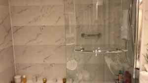 a shower with a glass door in a bathroom at Cluaine Meala cottage in Isleworth +19 photos