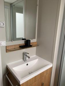a bathroom with a white sink and a mirror at Gemütliches Chalet in Strandnähe in Oostkapelle