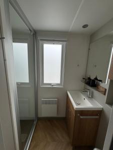 a bathroom with a sink and a shower and a mirror at Gemütliches Chalet in Strandnähe in Oostkapelle +12 photos
