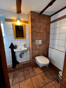 ein Badezimmer mit Toilette und Waschbecken in der Unterkunft Kastanie im Neandertal in Erkrath + 9 Fotos