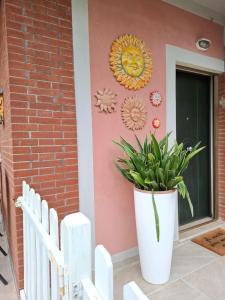 Kép CASA del SOLE APARTMENTS with garden szállásáról Marina di Pisában a galériában