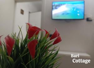 TV a/nebo společenská místnost v ubytování Bari Cottage